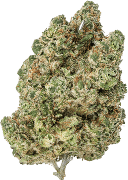 Pineapple Upside Down Cake